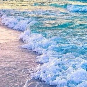 Meet your Posher, Matty